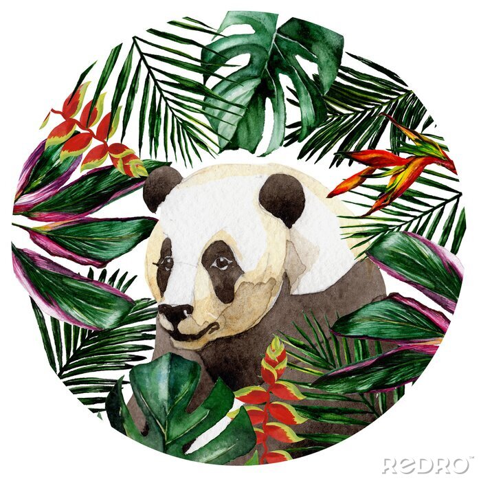 Papier peint  Hawaï tropical laisse dans un style aquarelle isolé. Aquarelle fleur sauvage pour le fond, la texture, le motif de l'enveloppe, le cadre ou la bordure.