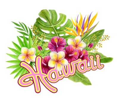 Papier peint  Hawaii greeting. Tropical flowers hand drawn watercolor painting with strelitzia, hibiscus rose flowers, frangipani and palm leaves.