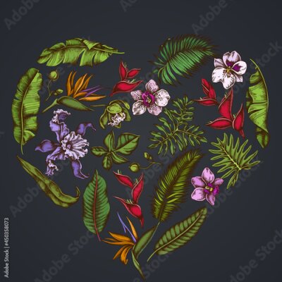 Papier peint  Heart floral design on dark background with monstera, banana palm leaves, strelitzia, heliconia, tropical palm leaves, orchid