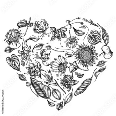 Papier peint  Heart floral design with black and white african daisies, fuchsia, gloriosa, king protea, anthurium, strelitzia