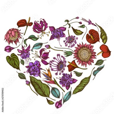 Papier peint  Heart floral design with colored african daisies, fuchsia, gloriosa, king protea, anthurium, strelitzia