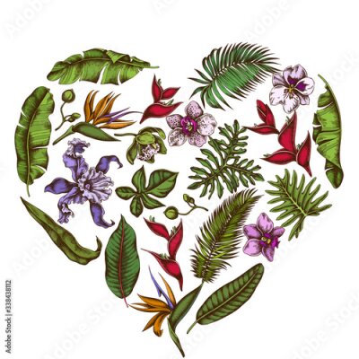 Papier peint  Heart floral design with colored monstera, banana palm leaves, strelitzia, heliconia, tropical palm leaves, orchid