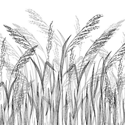 Papier peint  Herbe noire et blanche