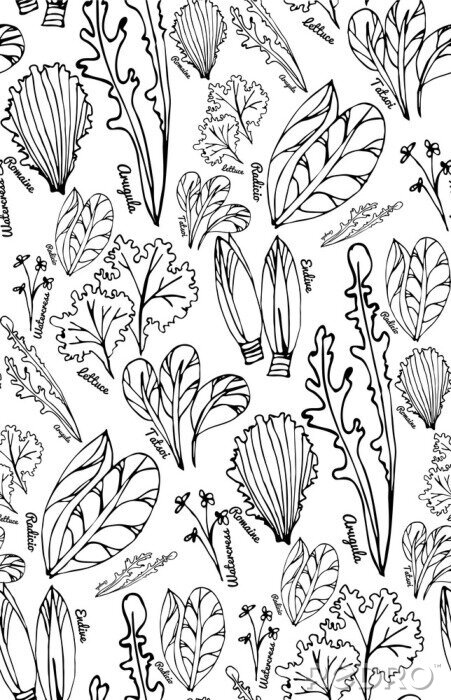 Papier peint  Herbes aromatiques noir et blanc sur fond clair