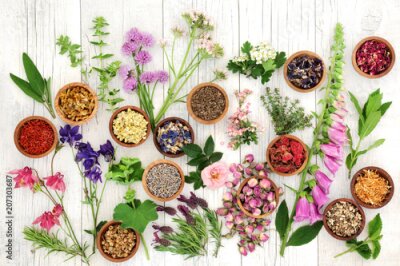 Papier peint  Herbes et épices sur fond de bois
