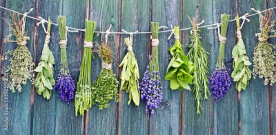 Papier peint  Herbes sur fond de bois