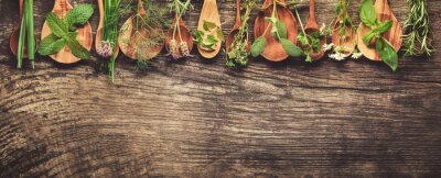 Papier peint  Herbes vertes sur des cuillères en bois