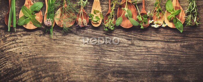 Papier peint  Herbes vertes sur des cuillères en bois