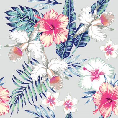 Hibiscus, orchidées, tropical, seamless, fond
