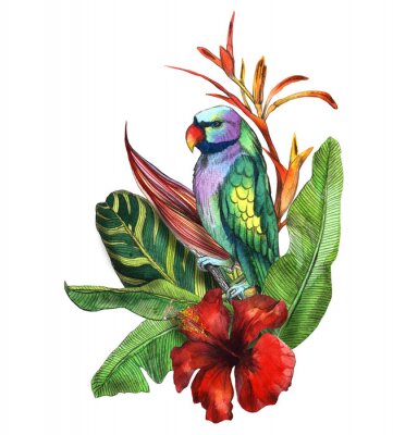 Papier peint  Hibiscus, palm leaves, branch of strelitzia, calathea, parrot.Tropic  illustration