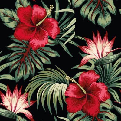 Hibiscus rouge et feuilles sur fond noir