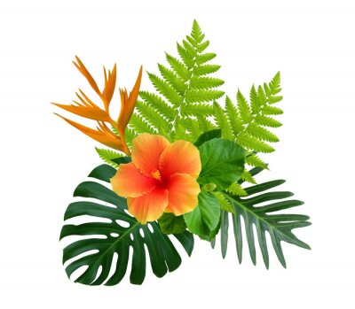Papier peint  Hibiscus tropical et Strelitzia reginae fleurs sur monstera vert et fougère feuilles buisson plante isolé sur fond blanc