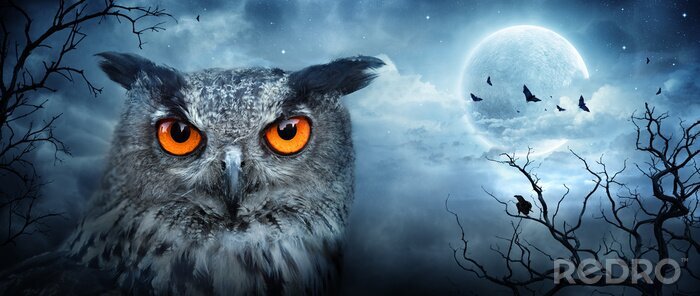Papier peint  Hibou d'aigrettes en colère au clair de lune dans la forêt Spooky - Scène d'Halloween