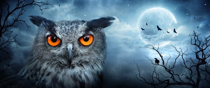 Papier peint  Hibou d'aigrettes en colère au clair de lune dans la forêt Spooky - Scène d'Halloween