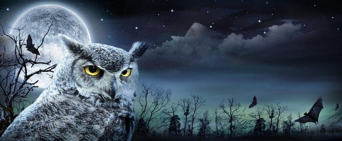 Papier peint  Hibou et lune effrayante