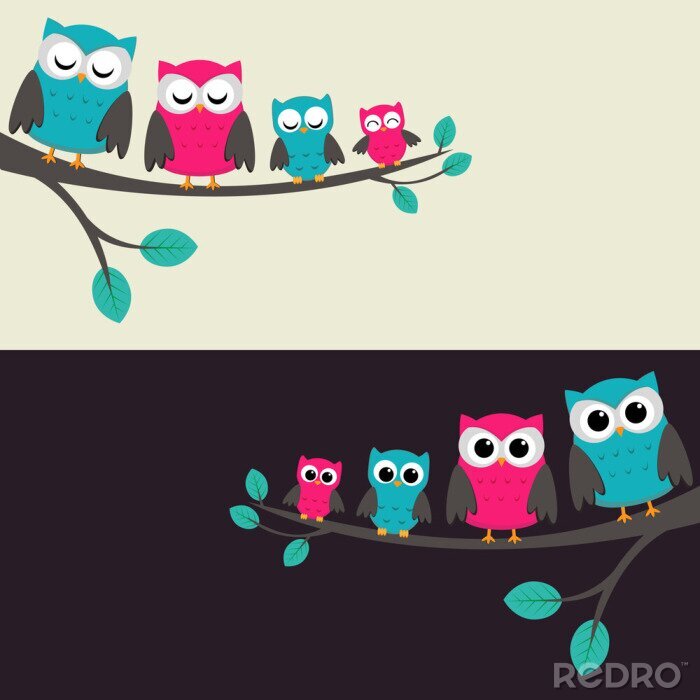 Papier peint  Hiboux jour et nuit