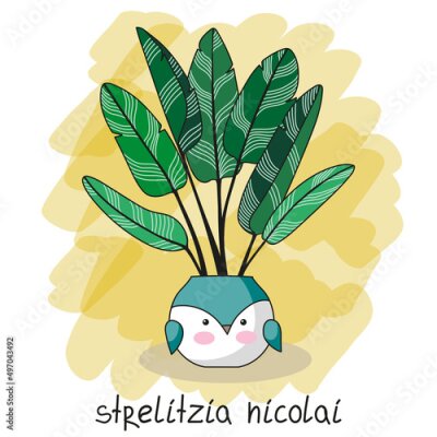 Papier peint  Home plant in a flower pot in the form of a bird. Vector image of strelitzia nicolai. Illustration for postcards, posters, decor, tableware and stationery. 
