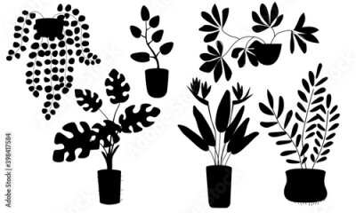 Papier peint  Home plants in flower pot black silhouette set. Strelitzia monstera deciduous flowering hanging. Clip art Gardening ecology friendly hobby. Stock vector flat illustration isolated on white background.