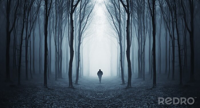 Papier peint  homme dans une forêt sombre