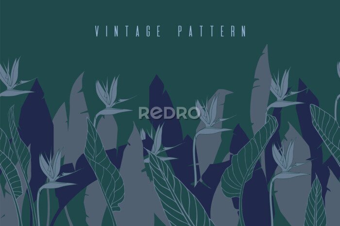 Papier peint  Horizontal banner with strelitzia flowers and leaves. Floral seamless texture with bird of paradise or crane flower. Vintage dark background. Silhouettes of tropical plants.