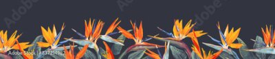 Papier peint  Horizontal dark banner or floral background decorated with bright blooming Strelitzia flowers and botanical border. Spring botanical vector illustration on dark background