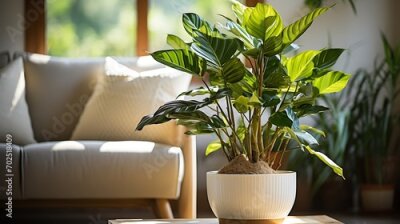 Papier peint  horizontal image of a bright living room with a large tropical houseplant, giant white bird of paradise, strelitzia nicolai, copy space : Generative AI