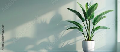 Papier peint  Horizontal image of a vibrant living room featuring a large tropical houseplant the giant white bird of paradise strelitzia nicolai with copy space
