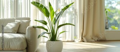 Papier peint  Horizontal picture of a well-lit living room featuring a large tropical plant, the imposing white bird of paradise known as Strelitzia Nicolai, with space for text.