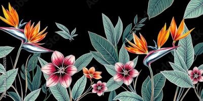 Papier peint  Horizontal seamless banner featuring hand-drawn strelitzia flowers and leaves; intricate outline drawing of tropical bird of paradise plants, orange, vector