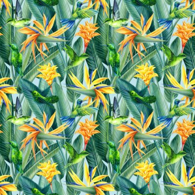 Papier peint  Hummingbirds and Strelitzia, tropical background, watercolor illustration, digital paper, seamless pattern
