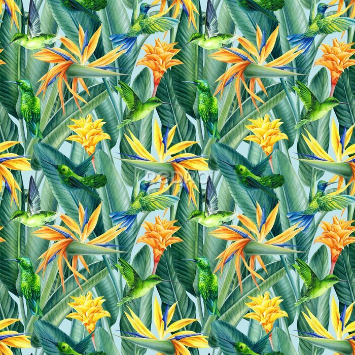 Papier peint  Hummingbirds and Strelitzia, tropical background, watercolor illustration, digital paper, seamless pattern