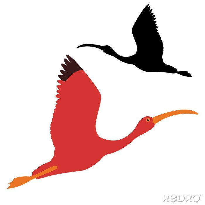 Papier peint  ibis oiseau vector illustration noir silhouette profil plat