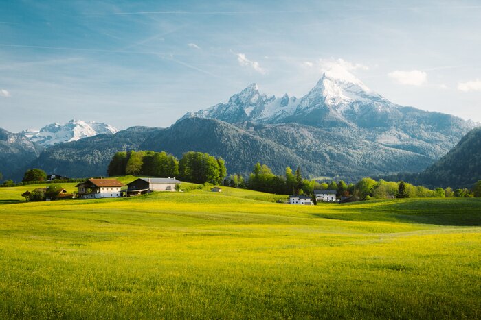 Papier peint  Idyllic landscape in the Alps with blooming meadows in springtime