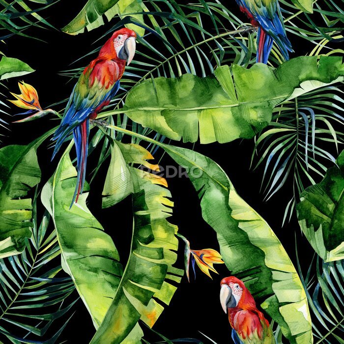 Papier peint  Illustration aquarelle sans couture des feuilles tropicales, jungle dense. Scarlet Macaw Parrot. Strelitzia reginae flower. Peinte à la main. Motif avec motifs tropicaux pour l'été. Feuilles de palmie