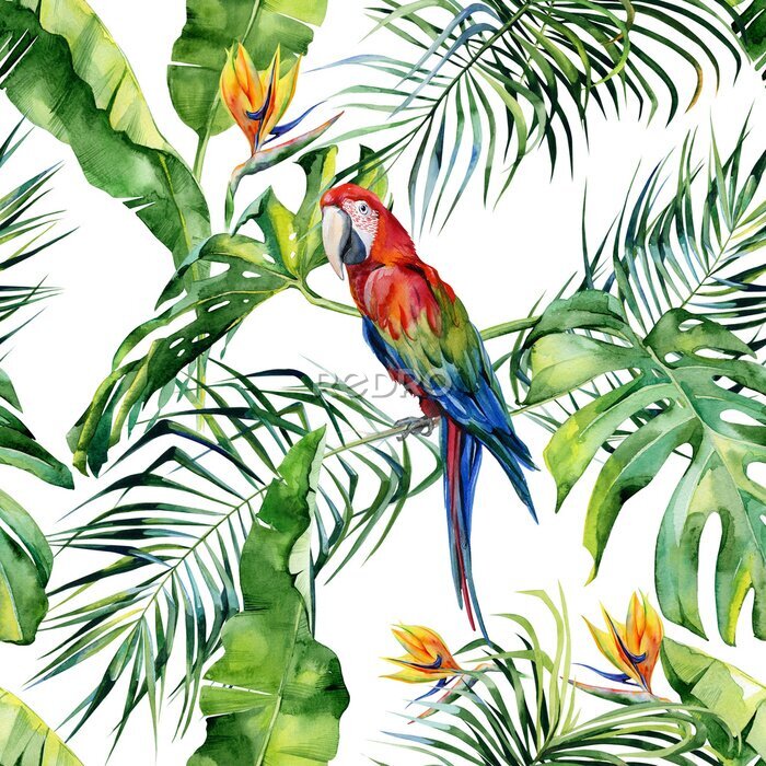 Papier peint  Illustration aquarelle sans couture des feuilles tropicales, jungle dense. Strelitzia reginae flower. Peinte à la main. Feuilles de palmier à la noix de coco.