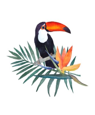 Papier peint  Illustration aquarelle sur fond blanc Toucan, feuille de palmier et fleur de strelitzia. Croquis dessiné à la main. Design d'impression.