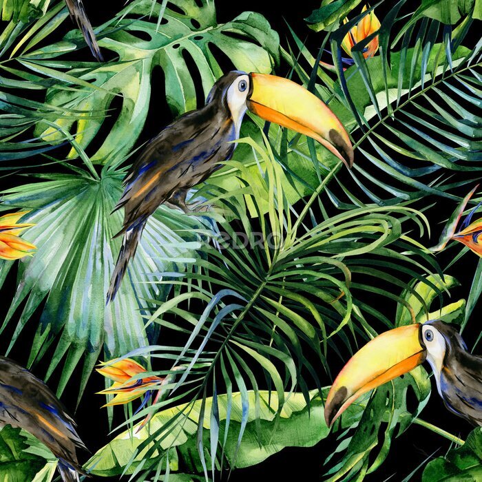 Papier peint  Illustration aquarelle transparente d'oiseau toucan. Ramphastos. Feuilles tropicales, jungle dense. Strelitzia reginae fleur. Peinte à la main. Modèle avec motif d'été tropique. Feuilles de cocotier.