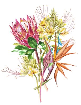 Papier peint  Illustration botanique florale de décoration tropicale. Aquarelle isolée Perfectionnez pour l'invitation, le mariage ou les cartes de voeux.