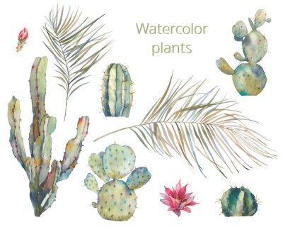 Illustration de cactus et de feuilles de plantes exotiques