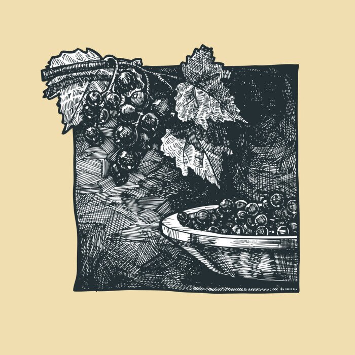 Papier peint  Illustration de cassis