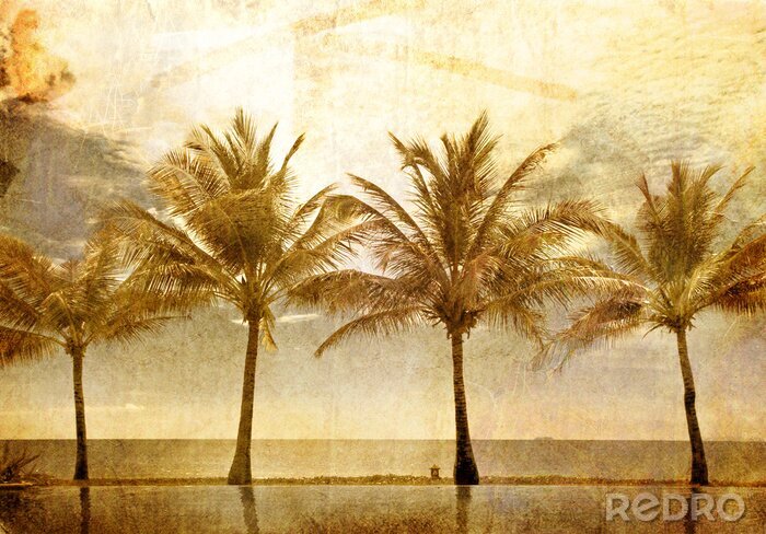 Papier peint  Illustration de palmiers rétro