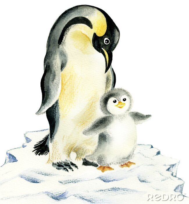 Papier peint  Illustration de pingouins mignons: la mère et le bébé