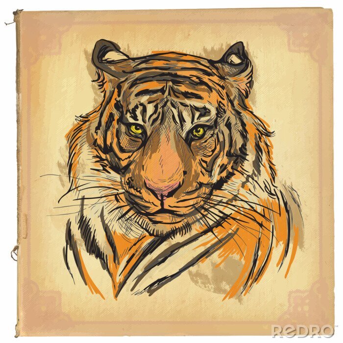 Papier peint  Illustration de tigre style rétro