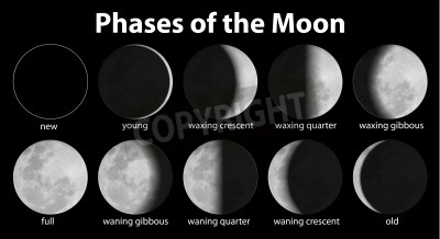 Papier peint  Illustration des phases de la lune sur fond sombre