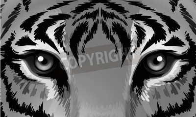 Papier peint  Illustration les yeux du tigre