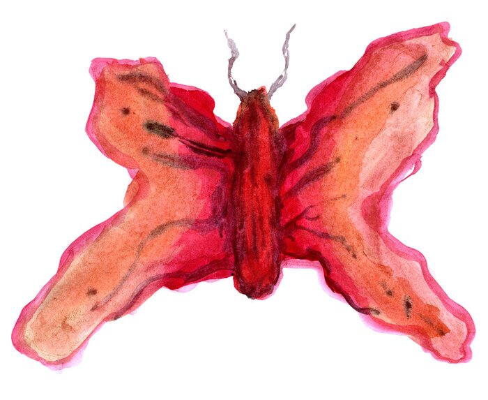 Papier peint  Illustration papillon orange