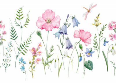 Illustration pastel avec des fleurs sauvages