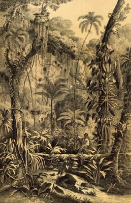 Illustration rétro de la jungle