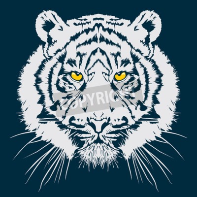 Papier peint  Illustration tigre blanc