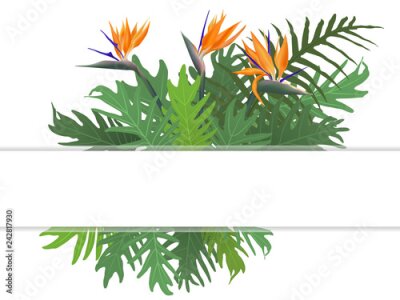 Papier peint  Illustration vectorielle botanique isolée sur fond blanc. Feuilles vertes exotiques tropicales, fougère et cadre de fleur vecteur Strelitzia Reginae ou une bordure de texte. Plantes africaines de la j